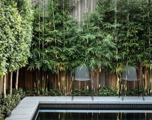 harkaway bluestone drop face pool coping tiles, drop down coping tiles, black tiles, dark tiles, blue paver