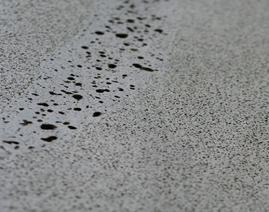 cat's paw in bluestone pavers and tiles by stone pavers